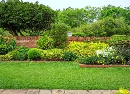 landscaping services Chevy Chase